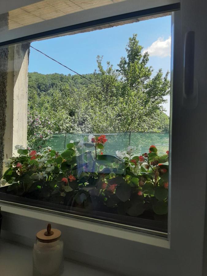 Apartman Mr Guest Krapina Εξωτερικό φωτογραφία